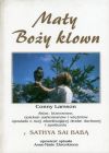 Zdjęcie - Mały Boży klowm
